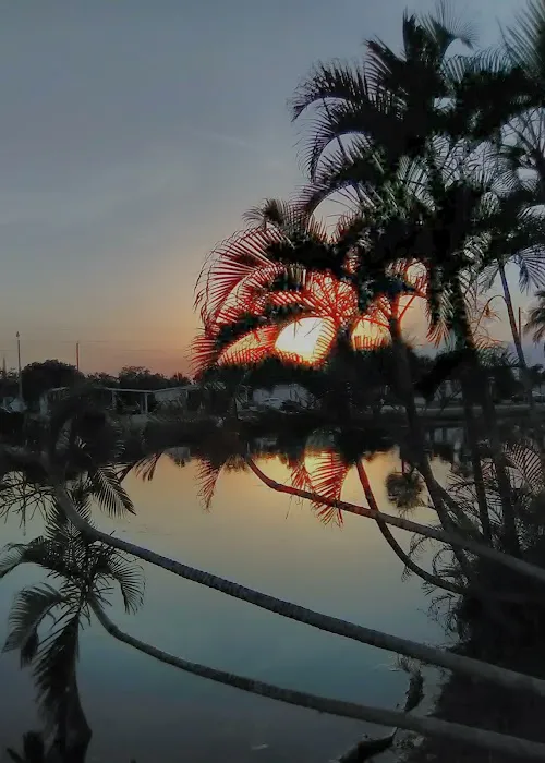 Riviera Colony Picture 5