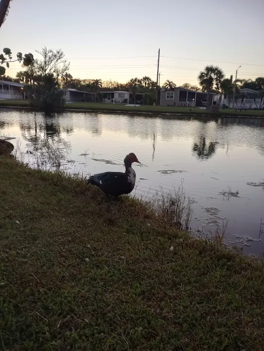 Riviera Colony Picture 8