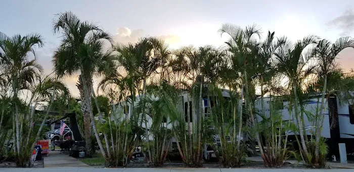Neapolitan Cove RV Resort Picture 7