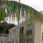 Palm Lake Mobile Home Park