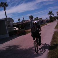 Harmony Shores Mobile Home Port ico