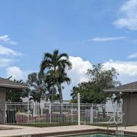 Tall Oaks of Naples ico