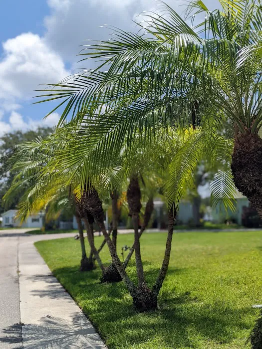 Tall Oaks of Naples Picture 5