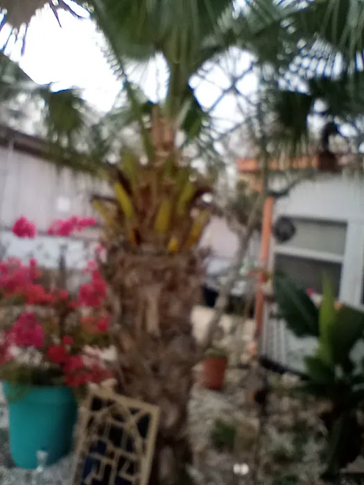 W D Trailer Park Picture 7