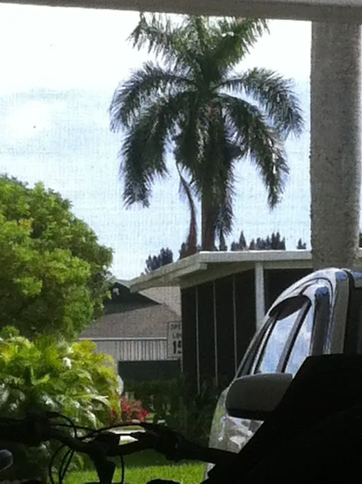 Colonial Estates Mobile Home Park Picture 7