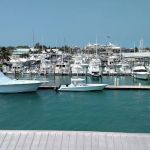 Enchanting Shores Co-Op Park