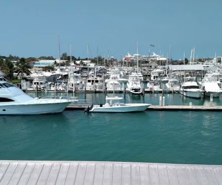 Enchanting Shores Co-Op Park