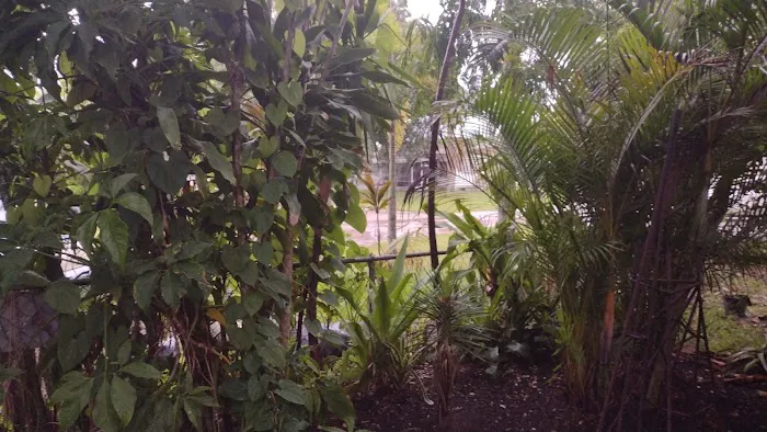 Peaceful Pines Trailer Park Picture 3