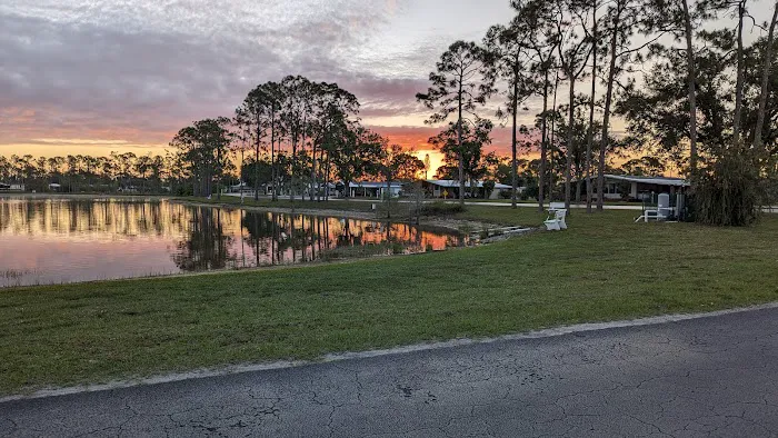 Tara Woods Picture 6