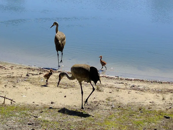 Tara Woods Picture 9