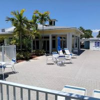 Pine Tree Park ico