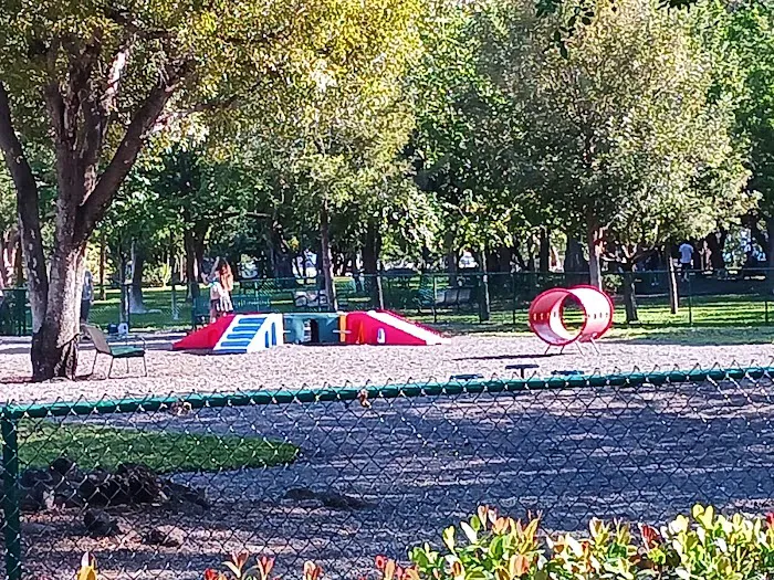 Pine Tree Park Picture 4