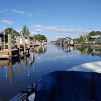 Pine Island Cove ico