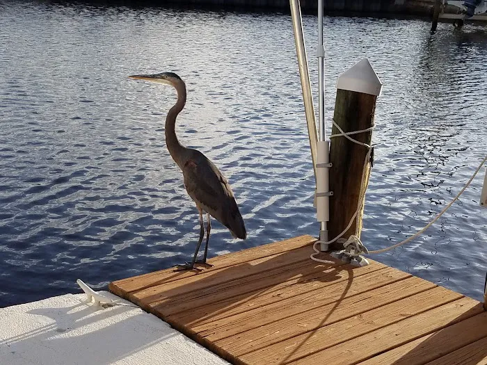 Cherry Estates Inc Picture 4