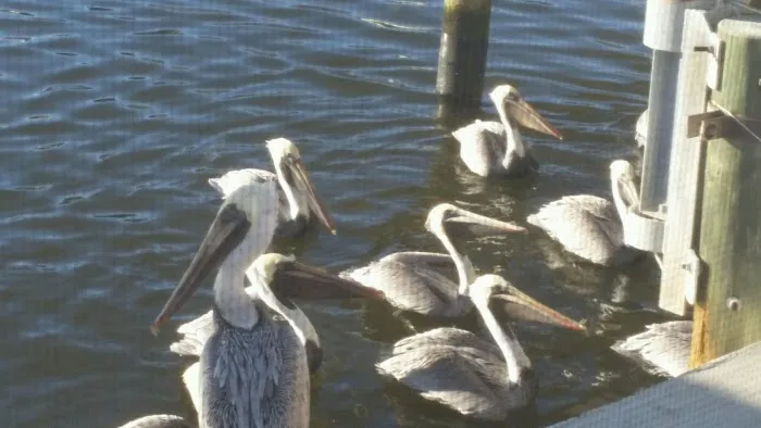 Cherry Estates Inc Picture 7