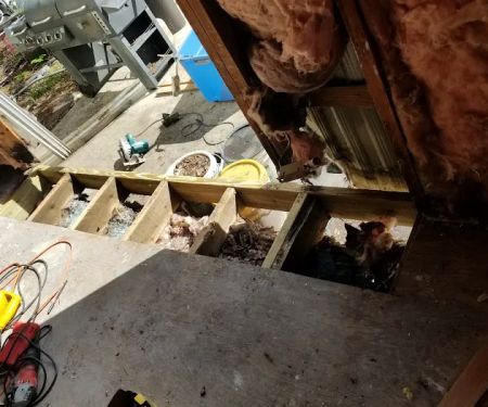 El Rancho Seven Mobile Home