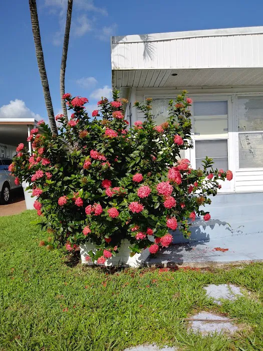 Golf View Estates Mobile Home Picture 6