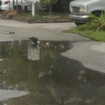 Holiday Village Mobile Home