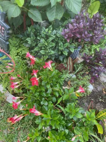 Lauderdale Mobile Home Park, LLC Picture 4