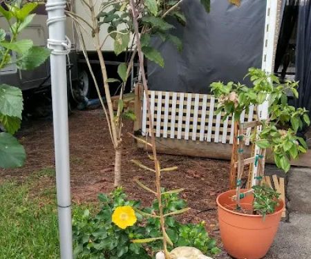 Kozy Kampers RV Park-Storage