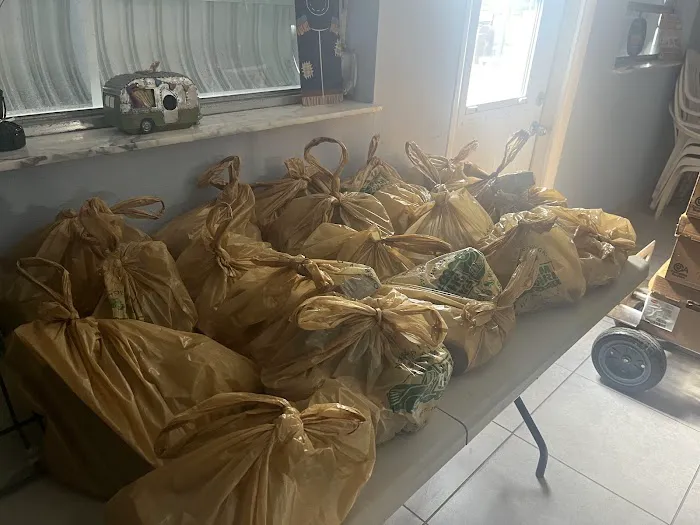 Swaying Palms Mobile Home Park Picture 1