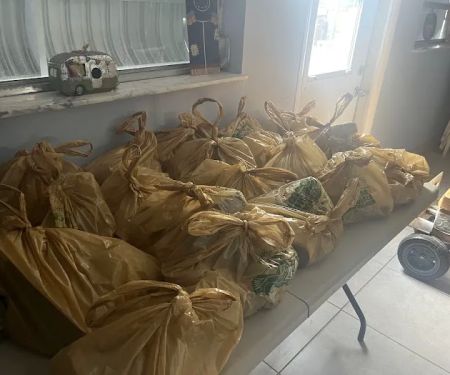 Swaying Palms Mobile Home Park