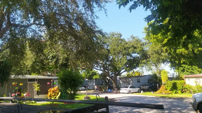 Palm Haven & East Pine Ridge Picture 3