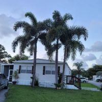 East Pine Ridge ico