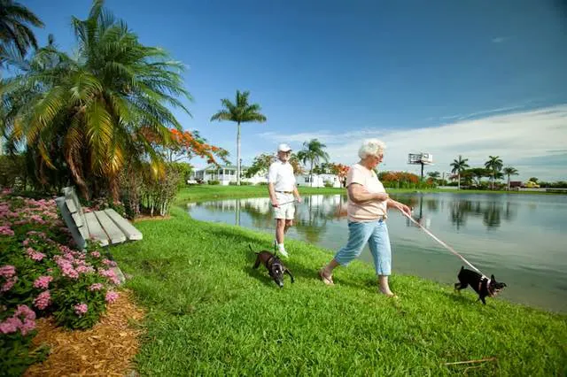 Paradise Village Picture 4