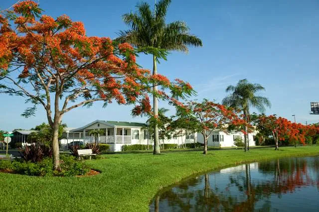 Paradise Village Picture 9