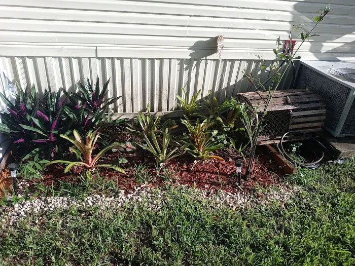 Sunshine Village Davie Picture 6