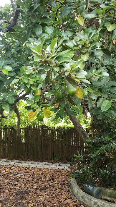 New England Mobile Park Picture 5