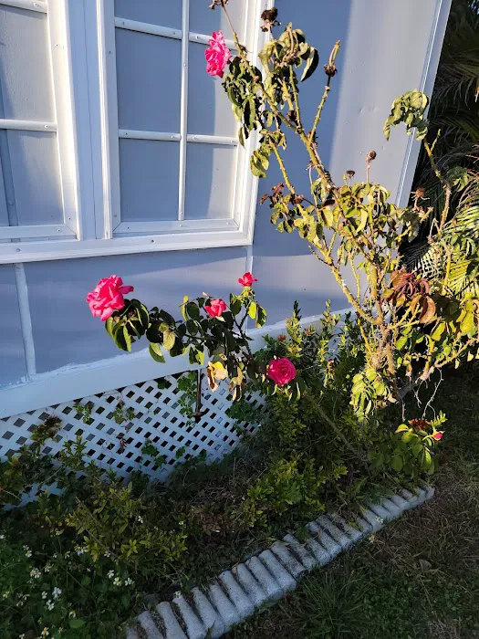 Seville Mobile Home Park Picture 9