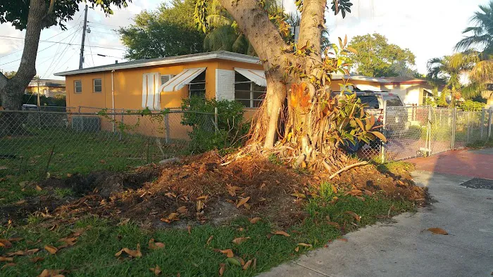 Home Mobile Home Picture 4