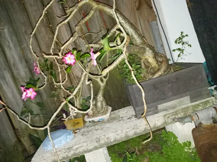 Pembroke Park Lakes Mobile Picture 10