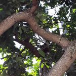 Rovell Mobile Home Park