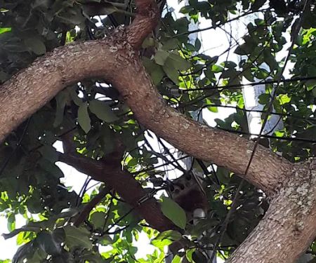 Rovell Mobile Home Park