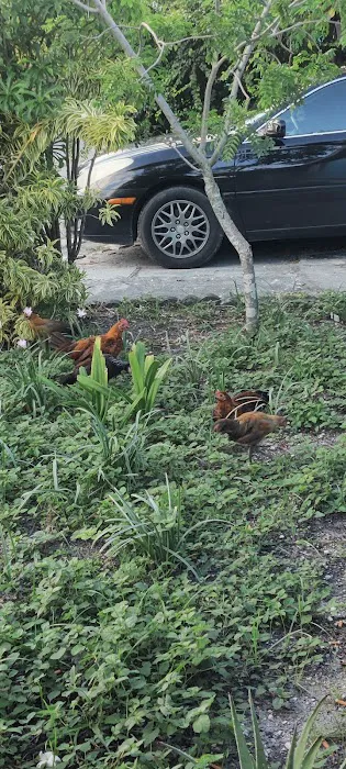 Miami Heights MHP, LLC Picture 2