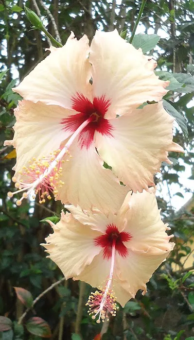 Miami Heights MHP, LLC Picture 5