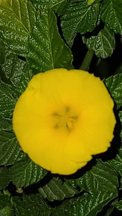 Miami Heights MHP, LLC Picture 9