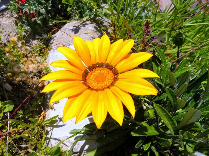 Miami Heights MHP, LLC Picture 8