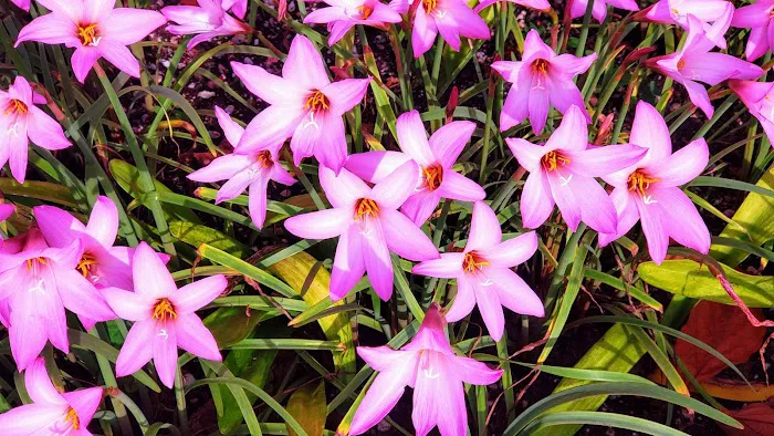 Miami Heights MHP, LLC Picture 10