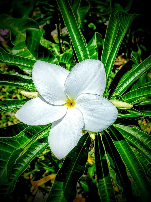 Miami Heights MHP, LLC Picture 4