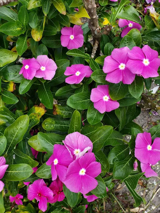 Miami Heights MHP, LLC Picture 6