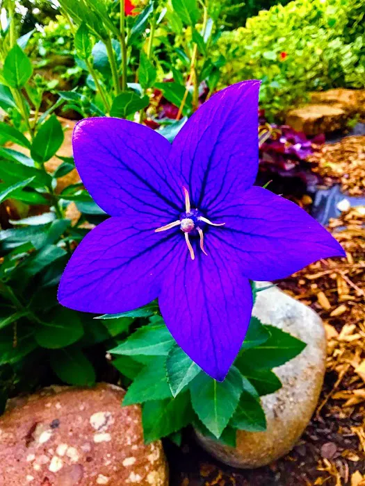 Miami Heights MHP, LLC Picture 3