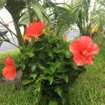 J Bar J Trailer Ranch