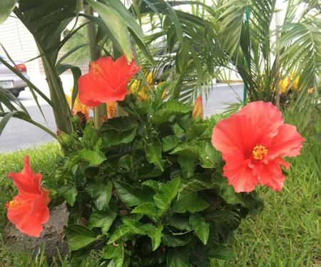 J Bar J Trailer Ranch