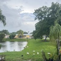 University Lakes ico