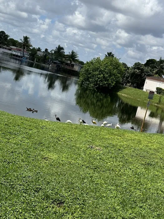 University Lakes Picture 6