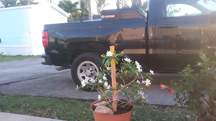 Silver Palm Place Picture 1